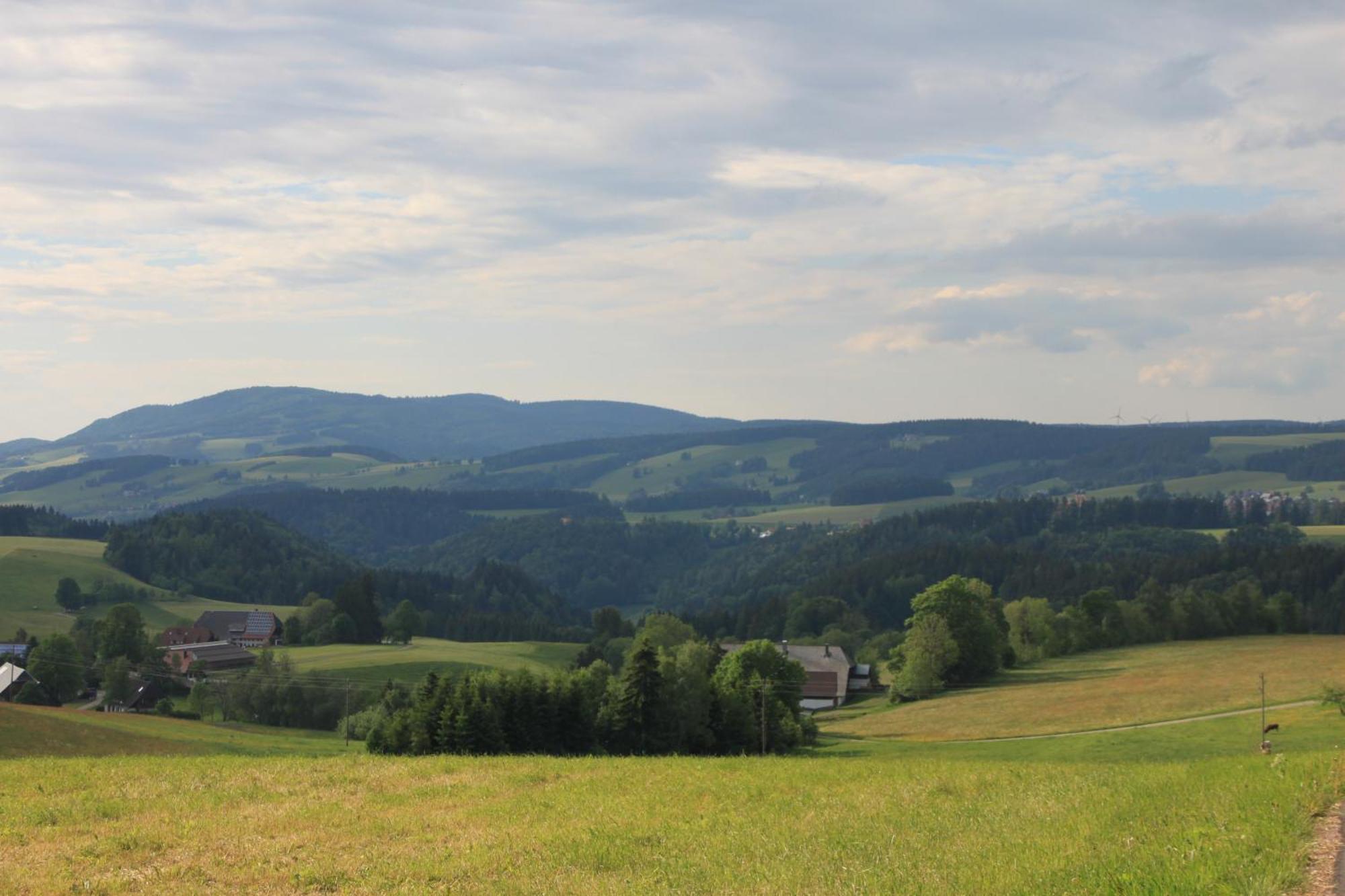 Ferienwohnungen Rebstock Schonach im Schwarzwald Екстериор снимка